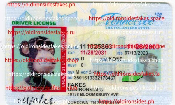 Tennessee Driver License(TN U21)