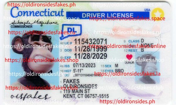 Connecticut Driver License(New CT)