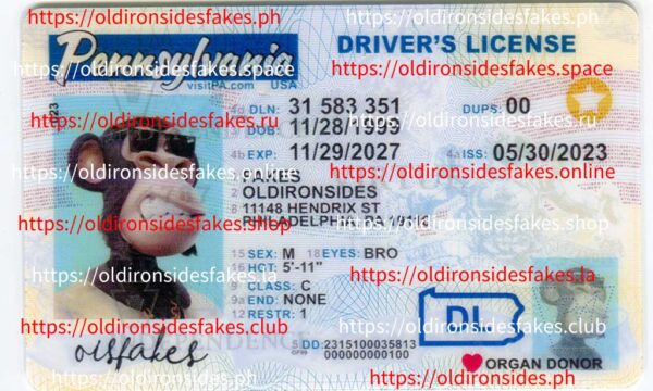 Pennsylvania Driver License(New PA O21)