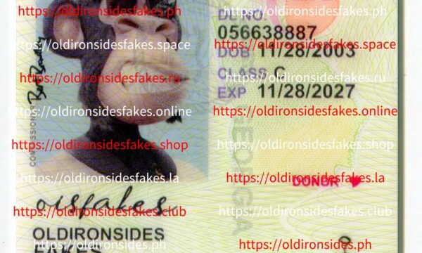 Georgia Driver License(Old GA U21)