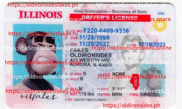 Illinois Driver License(New IL)