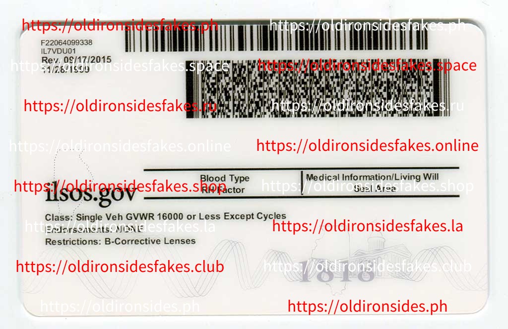 Illinois Driver License(New IL) - Image 2