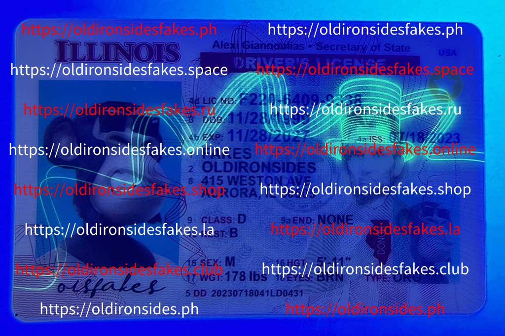 Illinois Driver License(New IL) - Image 3