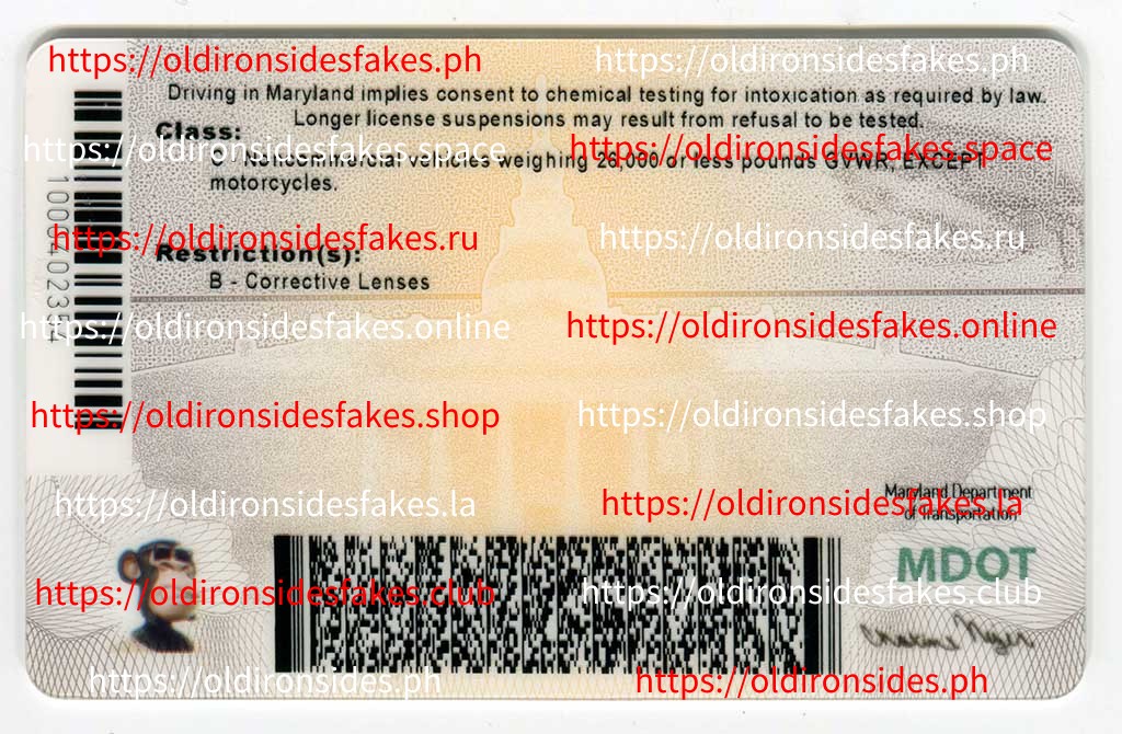 Maryland Driver License(New MD) - Image 2