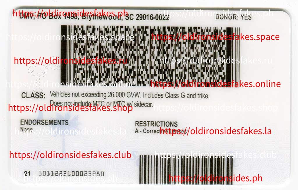 South Carolina Driver License(New SC O21) - Image 2