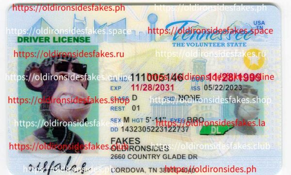 Tennessee Driver License(TN O21)