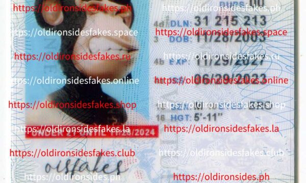 Pennsylvania Driver License(New PA U21)