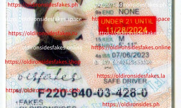 Florida Driver License(New FL U21 LEARNER)