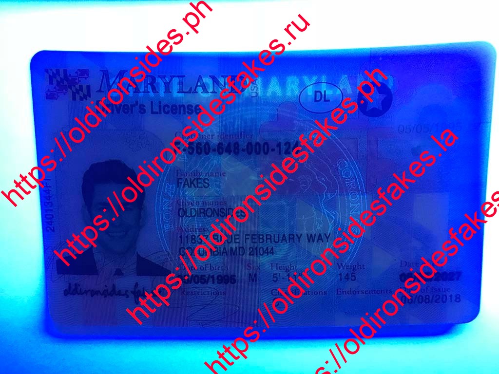 Maryland Driver License(New MD) - Image 5