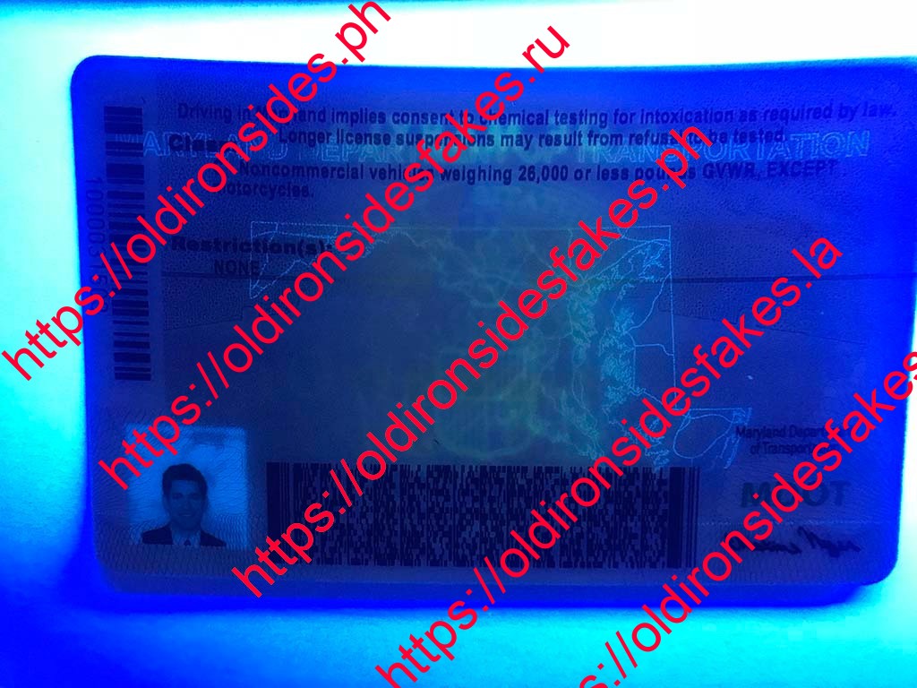 Maryland Driver License(New MD) - Image 6