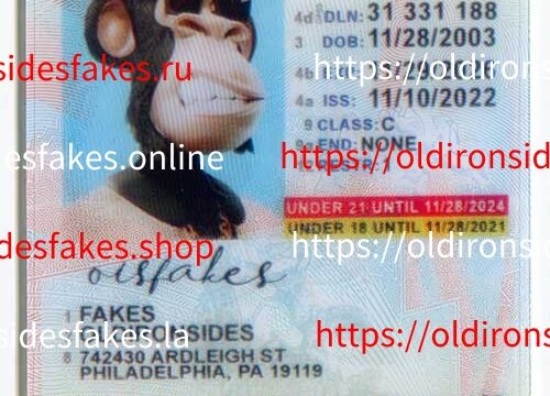 Pennsylvania Driver License(New PA U21 2022 PolyCard)